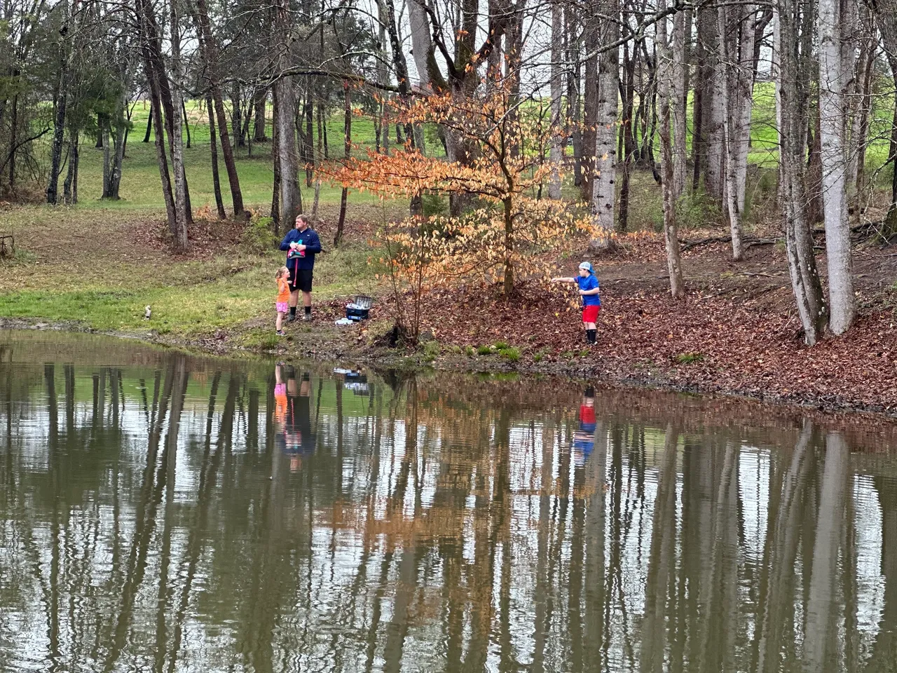 Two people fishing in a pond near trees.